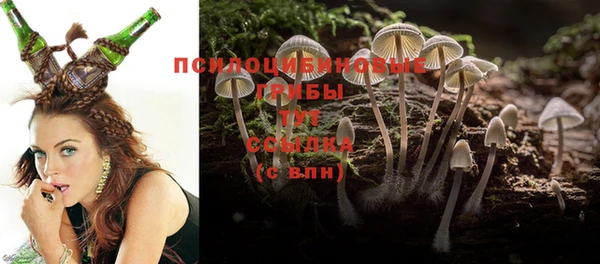 прущие крисы Балахна
