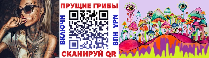 Галлюциногенные грибы Psilocybe  Покровск 