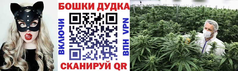 купить  сайты  Покровск  Шишки марихуана OG Kush 